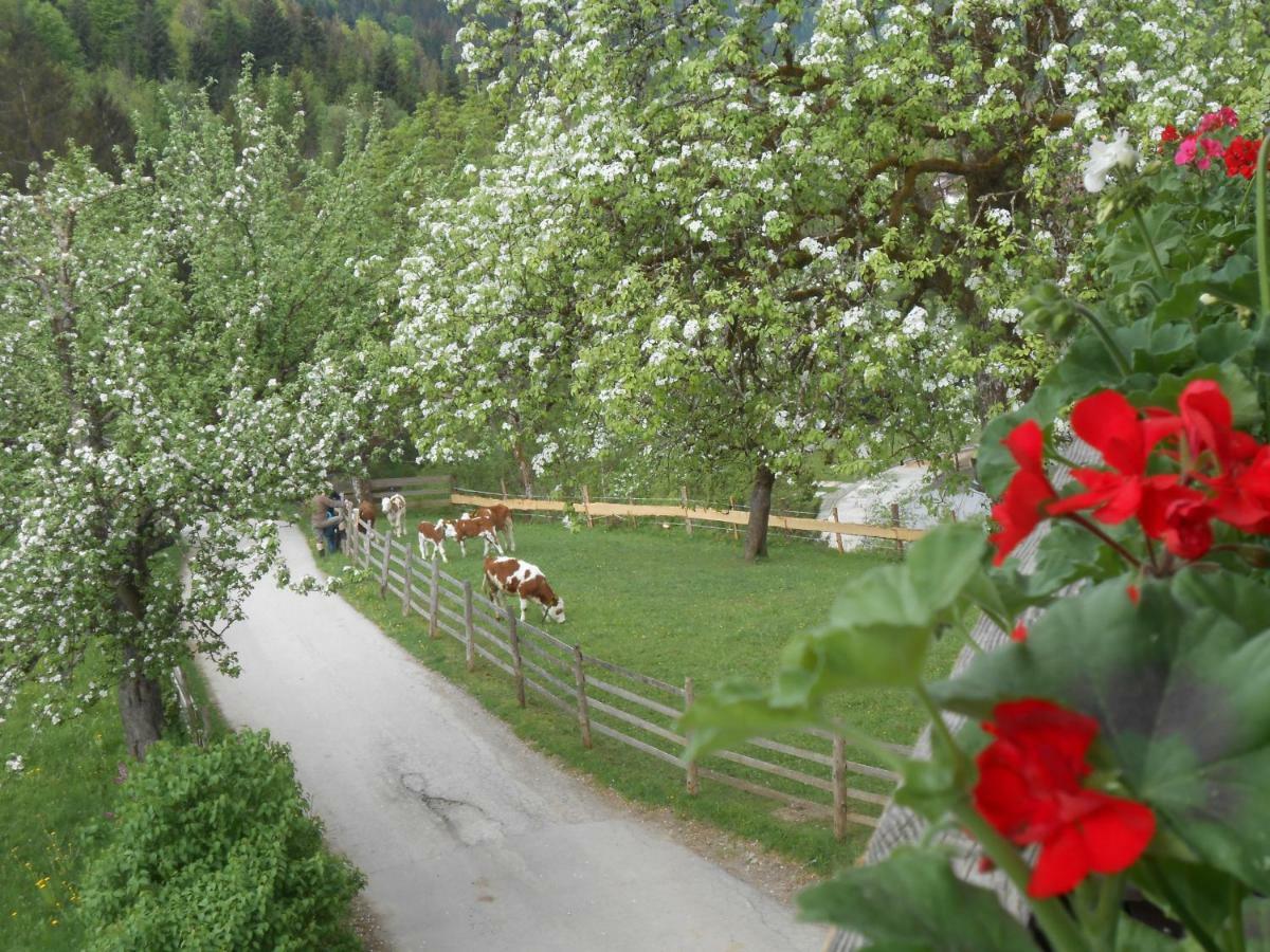 Bio-Bauernhof "Hecherhof" Тірзе Екстер'єр фото